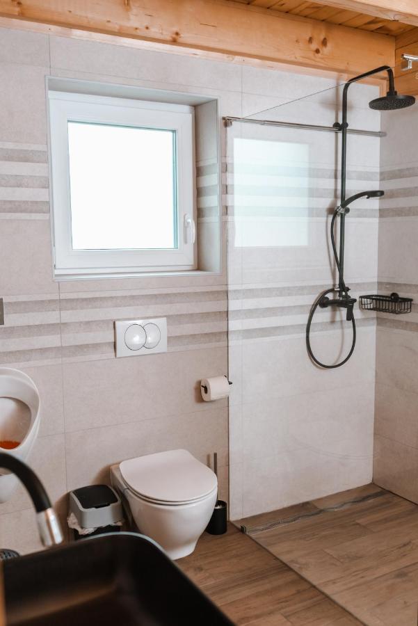 Apartmaji Gracner Dramlje Esterno foto