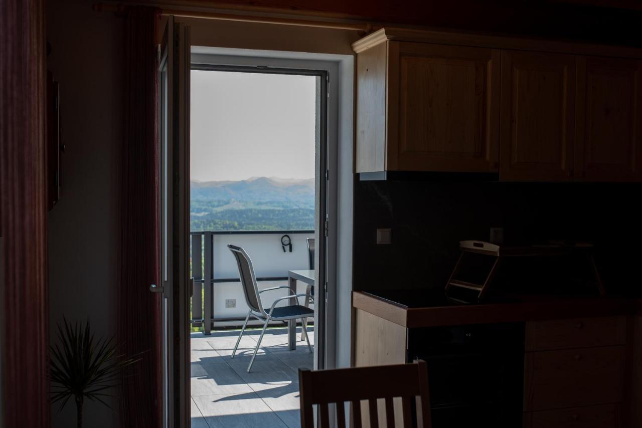 Apartmaji Gracner Dramlje Esterno foto