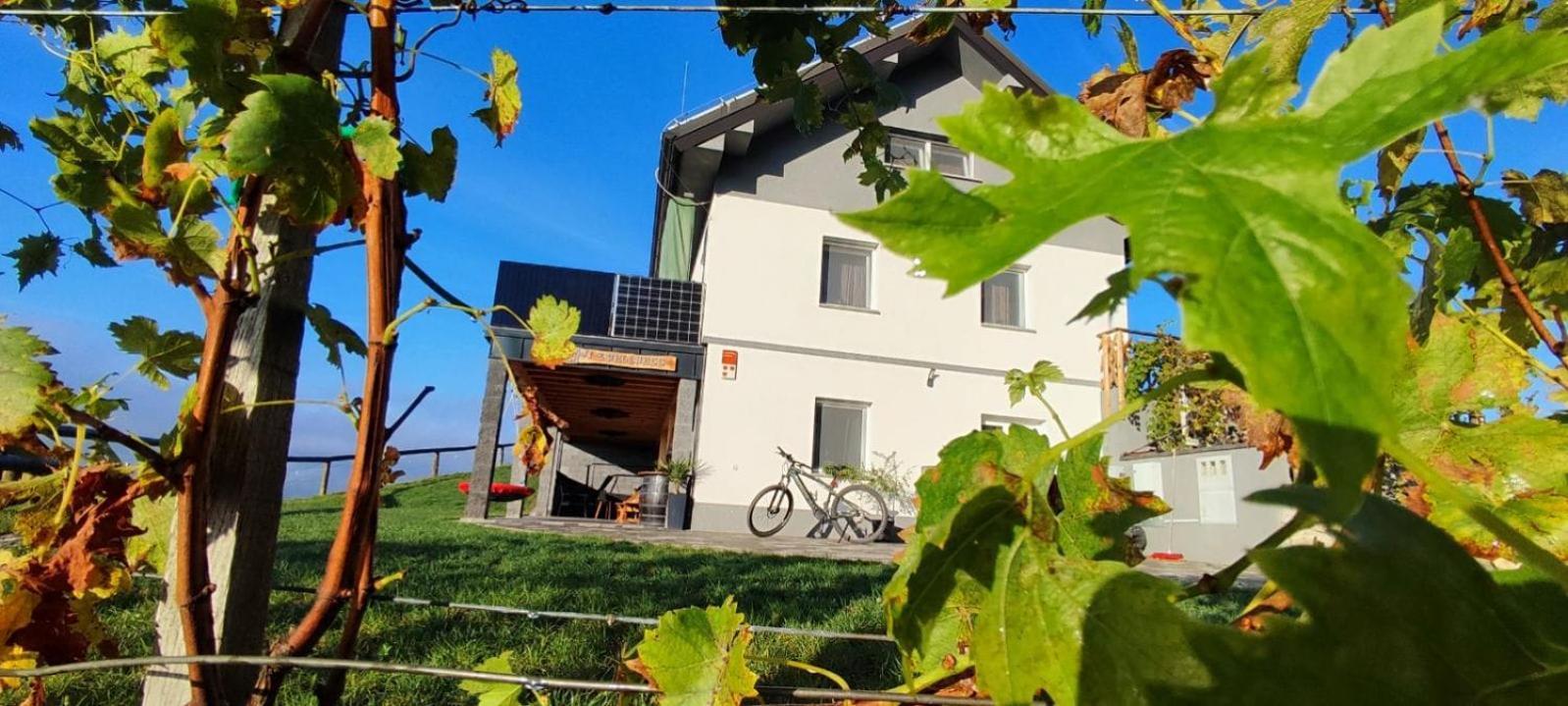 Apartmaji Gracner Dramlje Esterno foto